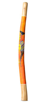 Lionel Phillips Didgeridoo (JW1154)